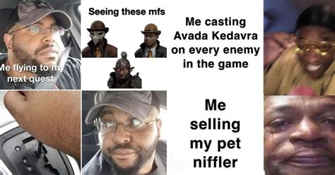 legacy of the memes.